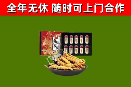 北碚区回收冬虫夏草价格